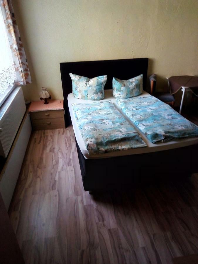 Pension Fischer Плауэн Экстерьер фото